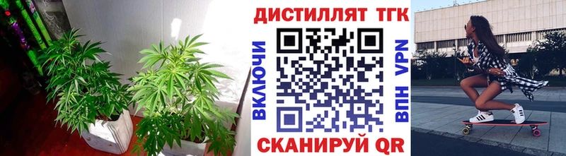 Купить где  Смоленск  Дистиллят ТГК гашишное масло 