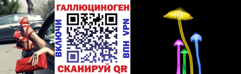 Купить где  Смоленск  Галлюциногенные грибы Psilocybine cubensis 